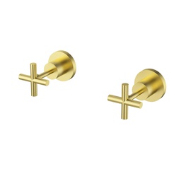 Plnz Wall Top Assemblies Lead Free Brushed Gold