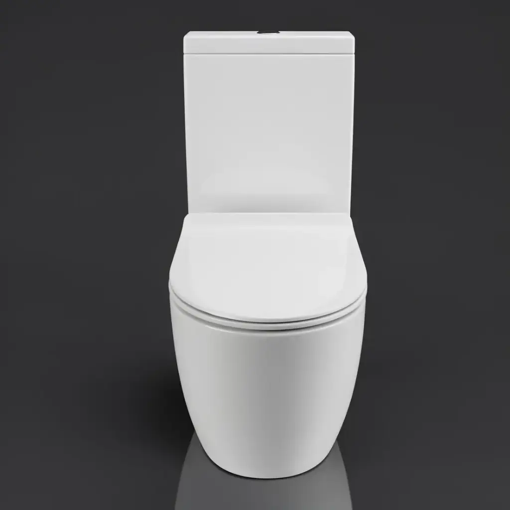 [41100] Two Piece Toilet Rimless flush