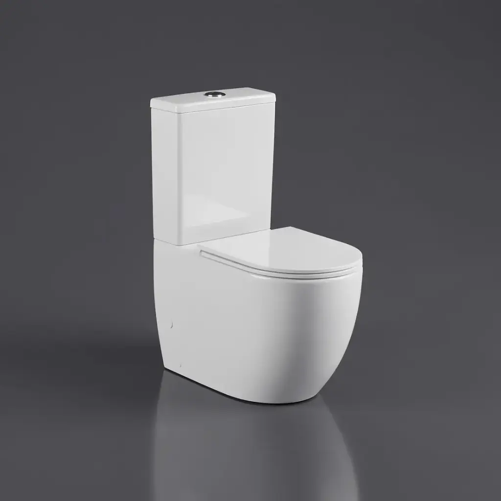 [50793] DIANA Gloss White Back To Wall Toilet Suite